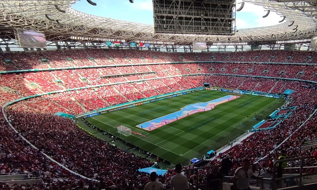 过自己的努 过自己的努