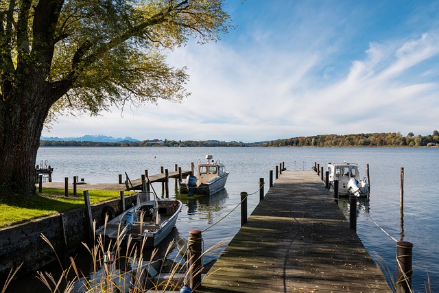 活力的年轻 活力的年轻