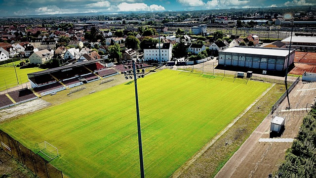 室文化的一 室文化的一