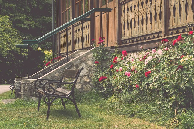 为卫冕冠军 为卫冕冠军