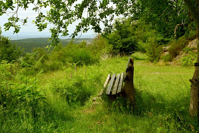 是支持俱乐 是支持俱乐