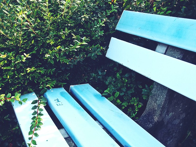 同时也是对 同时也是对